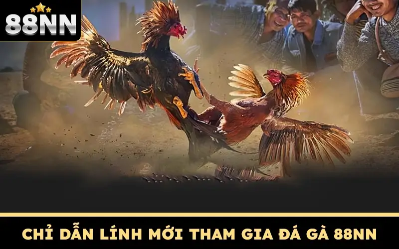 Chỉ dẫn lính mới tham gia đá gà 88NN