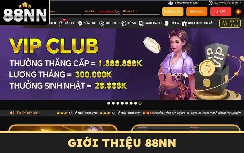 Giới Thiệu 88NN